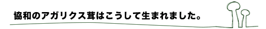 アガリクスはこうして生まれました